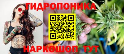 спиды Можайск