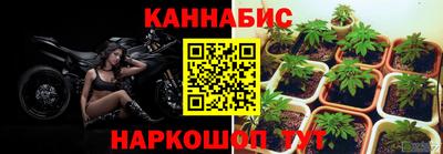 2c-b Моздок