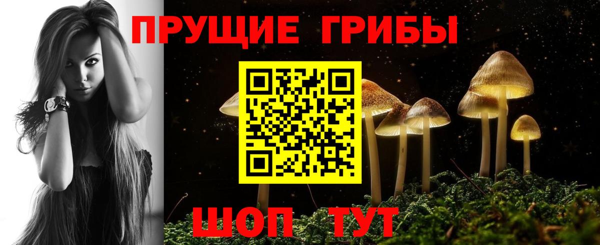 Дзержинск  закладка  Галлюциногенные грибы Cubensis  Вход с VPN  Псилоцибиновые грибы MAGIC MUSHROOMS 